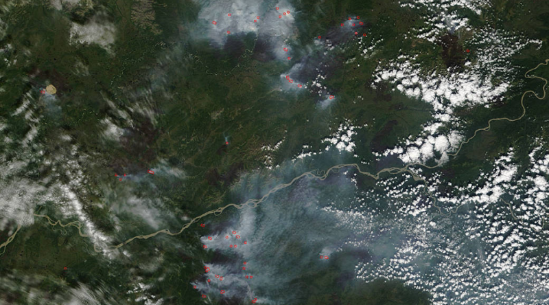 Illustration for article titled Alaskan Forest Fires Could Make Climate Change Much Worse